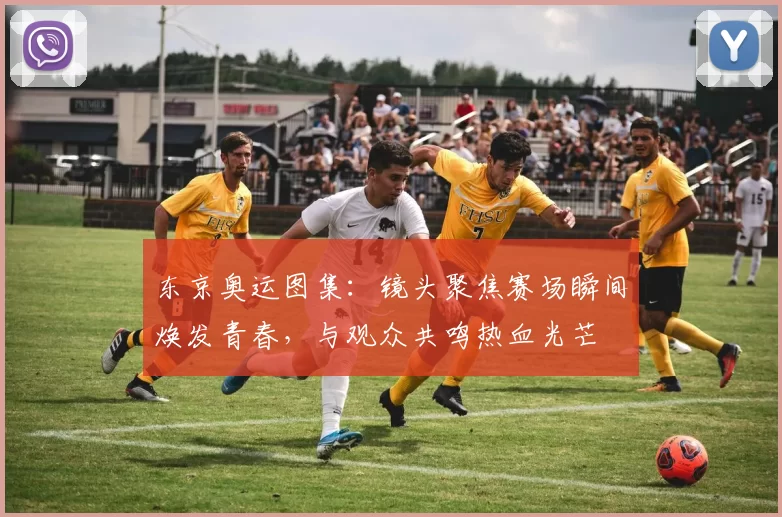 东京奥运图集:镜头聚焦赛场瞬间焕发青春,与观众共鸣热血光芒