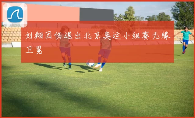 刘翔因伤退出北京奥运小组赛无缘卫冕