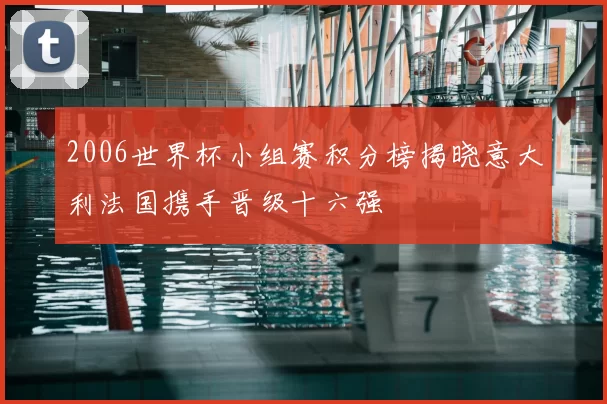 2006世界杯小组赛积分榜揭晓意大利法国携手晋级十六强