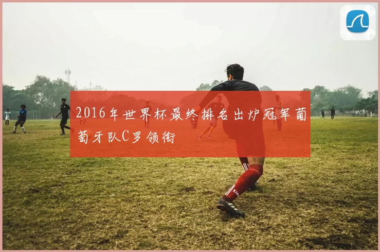 2016年世界杯最终排名出炉冠军葡萄牙队C罗领衔