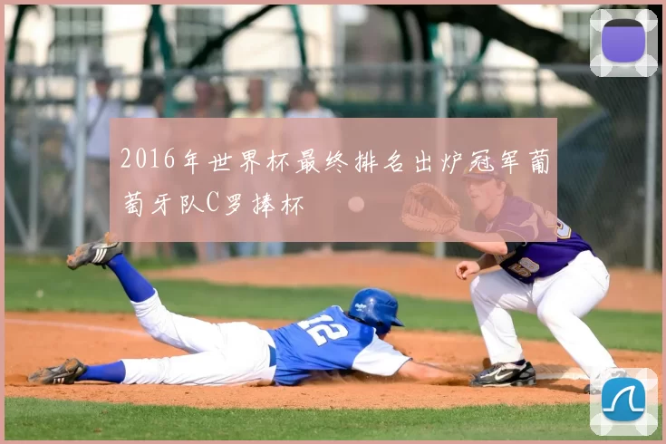 2016年世界杯最终排名出炉冠军葡萄牙队C罗捧杯